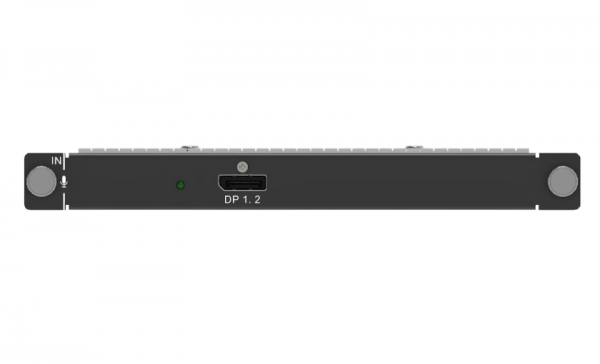 Входная слот карта H_1*DP1.2